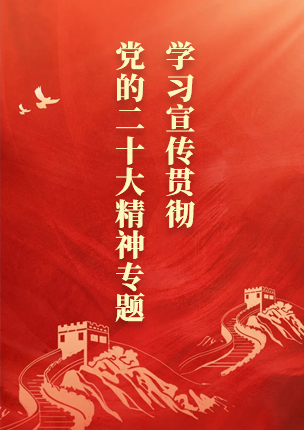 学习宣传贯彻党的二十大精神专题